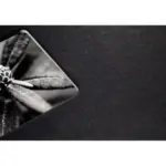 PATONA CARICATORE PER NIKON ENEL25 ENEL25 Z50 Z FC