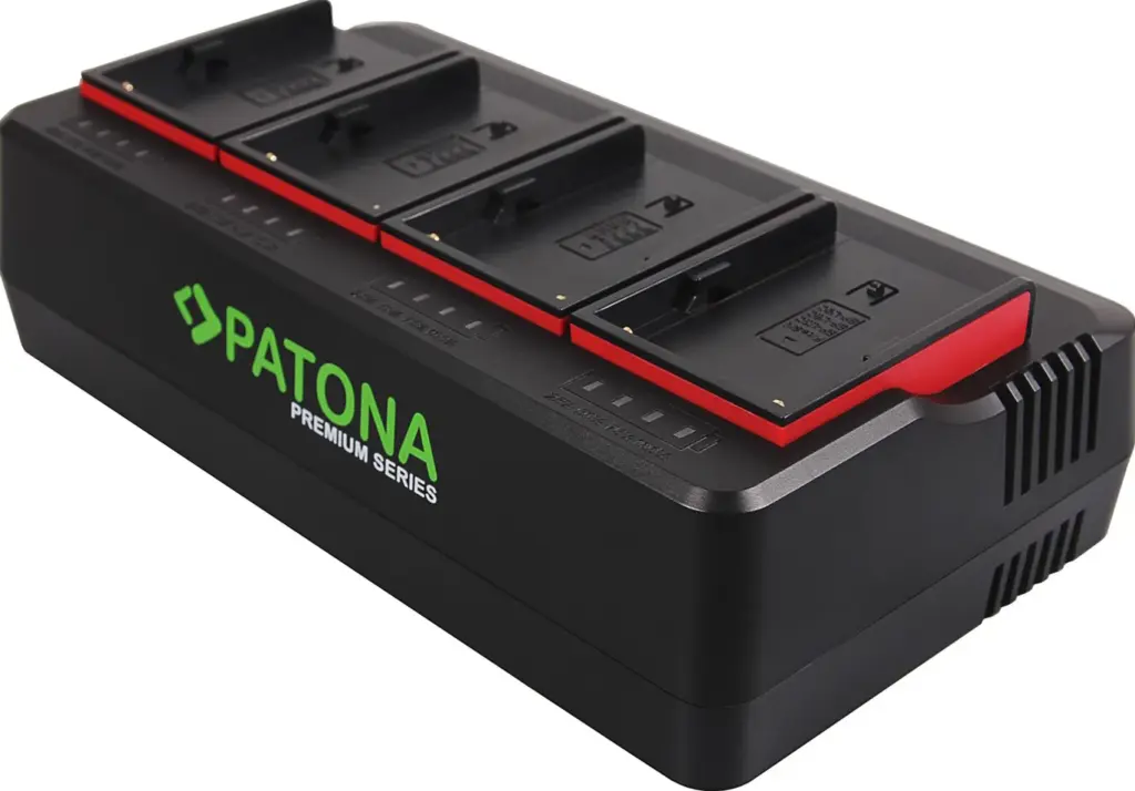 1691 carica batterie Caricatore per batteria AC