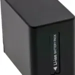 NPFV100