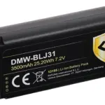 Batteria Protect per Panasonic DMWBLJ31 Lumix DCS1 DCS1R